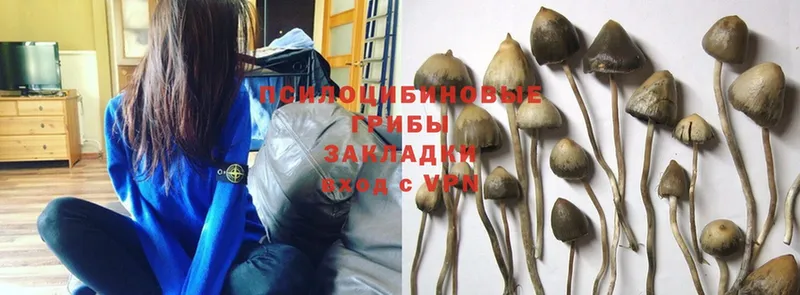 Псилоцибиновые грибы MAGIC MUSHROOMS  Каргополь 